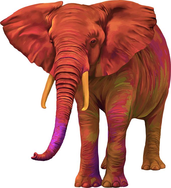 elefante africano de pintado a mano