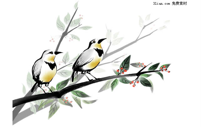 uccello su un materiale di psd del ramo di dipinti a mano