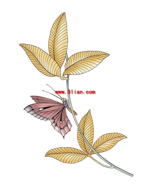 Hand Painted Branches Butterfly Psd Layered Material