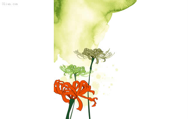 手描きの菊の psd 素材