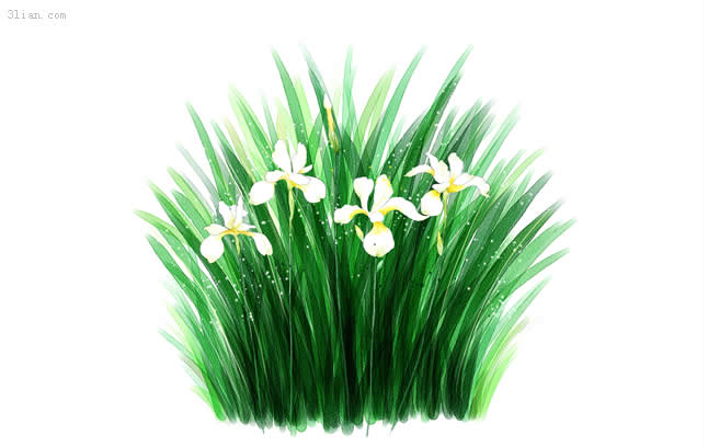 Hand Painted Daffodil Psd Layered Material
