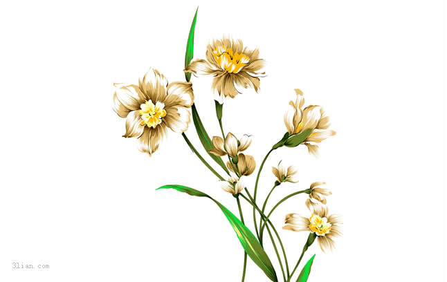 Hand Painted Daffodil Psd Material