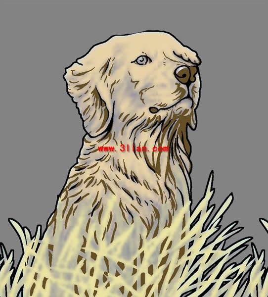 Hand Painted Dog Psd Material