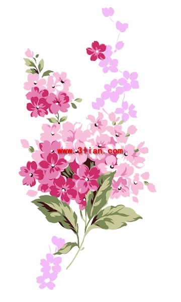 Hand Painted Flowers Psd Layered Graph