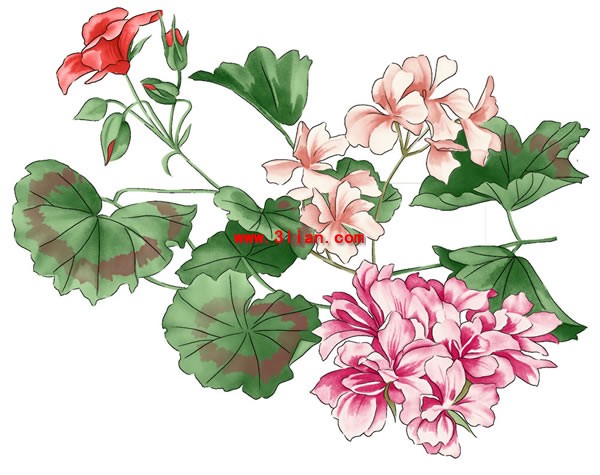 Hand Painted Flowers Psd Layered Graph