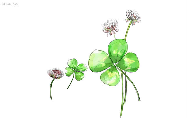 Hand Painted Four Leaf Flower Psd Material