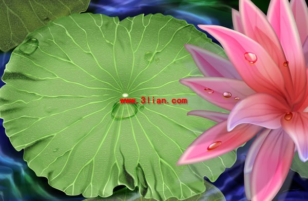Hand Painted Lotus Psd Layered Graph