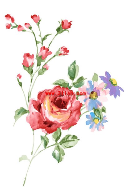 fiore di peonia dipinte a mano