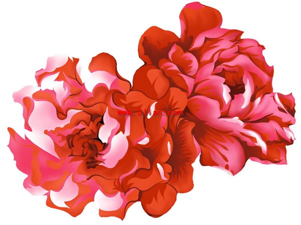 material de psd em camadas de flor de peônia de pintados à mão