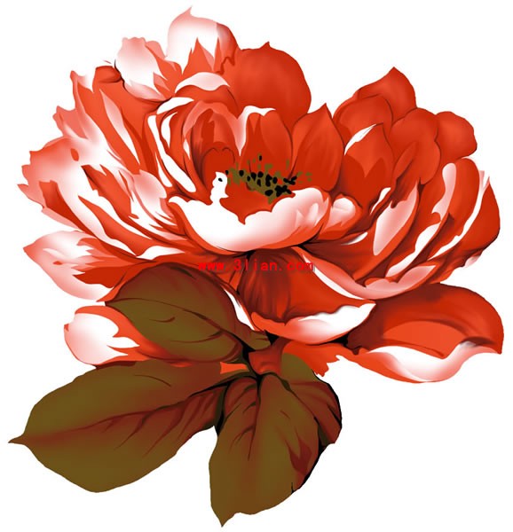 peonia flor capas psd material de pintado a mano