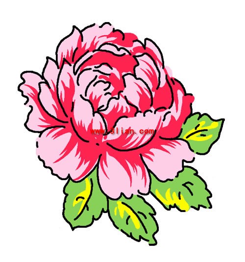 Hand Painted Peony Layered Psd Source Material
