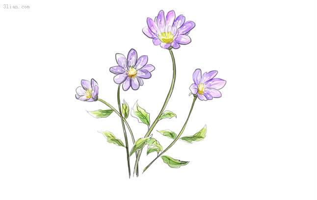 ręcznie malowane kwiaty fioletowe psd materiału