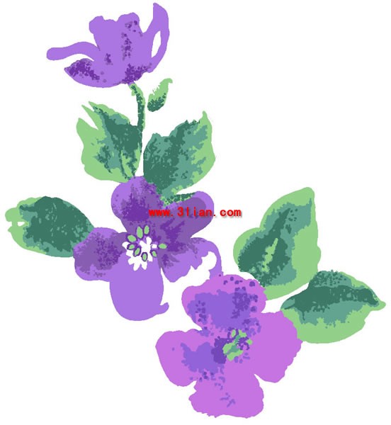 pintado a mano el material de psd en capas de la flor de bauhinia