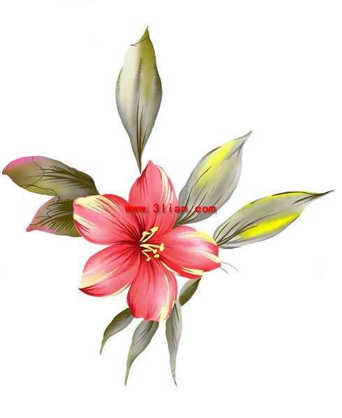 Hand Painted The Bauhinia Flower Psd Layered Material