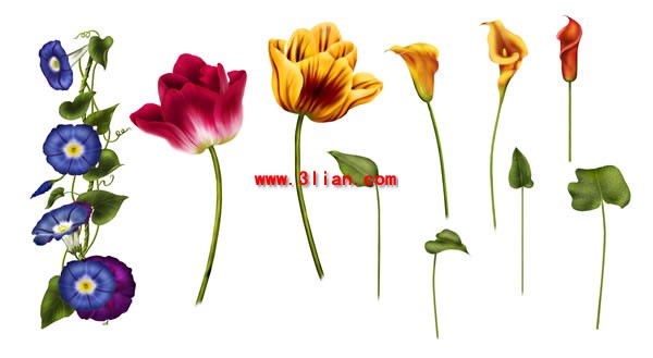tulip sou fleur psd multicouche matériel de peintes à la main