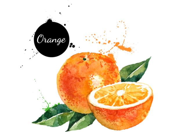 手描きの水彩画オレンジ