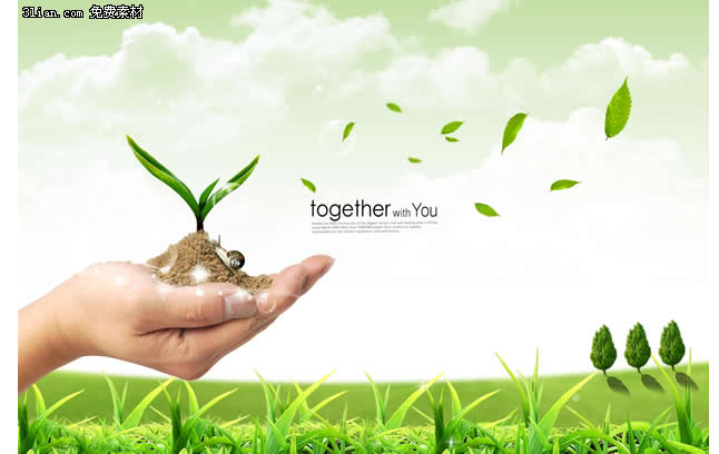 Hand Picked Seedling Grass Psd Material