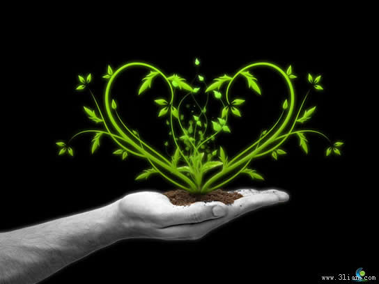 Heart Shaped Plant Psd Material