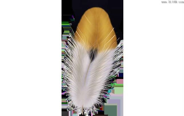 High Definition Feather Psd Material