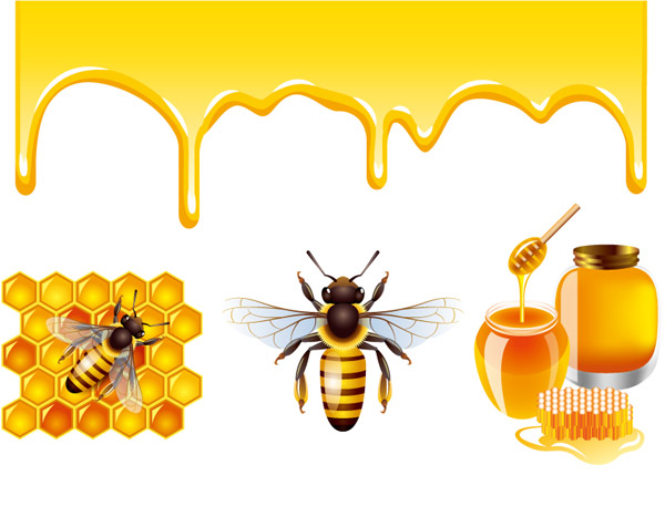 thiết kế của mật ong và ong