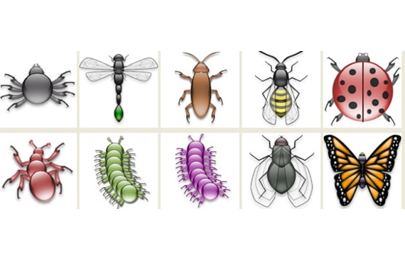 Insect Png Icons