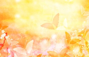 Japan Cherry Blossom Butterfly Fan The Background Picture