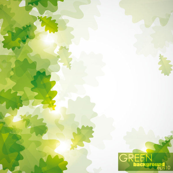 Leaf Pattern Background