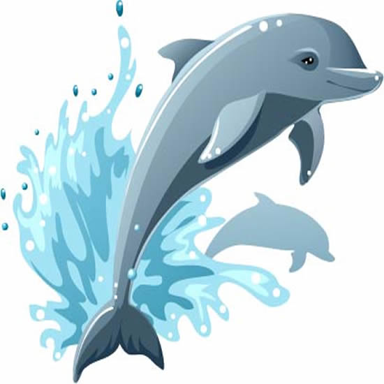 salto de delfín