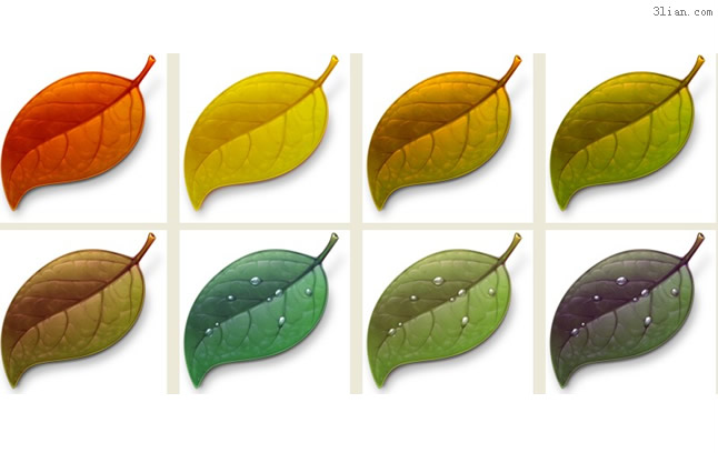 Leaves Png Icons