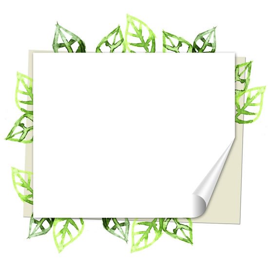 Leaves Rolled Paper Frame Psd Layered Material