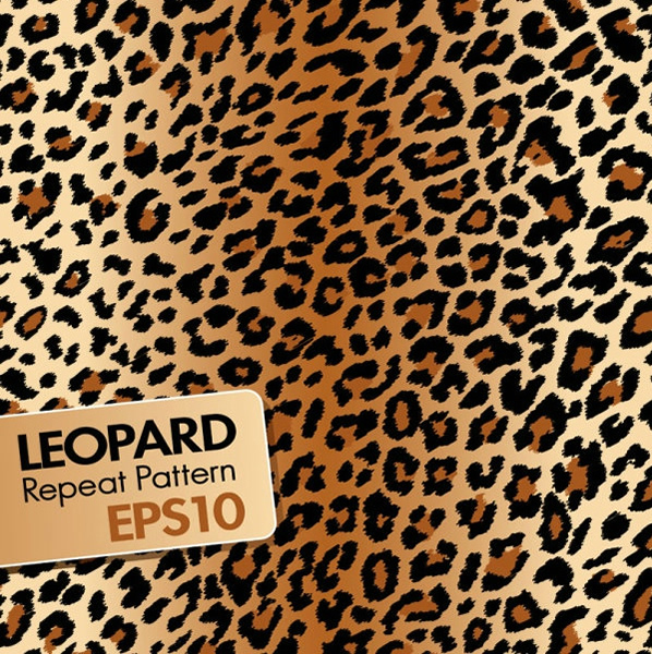 leopard の背景