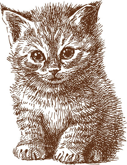 rysowanie linii zwierzęta ładny kot