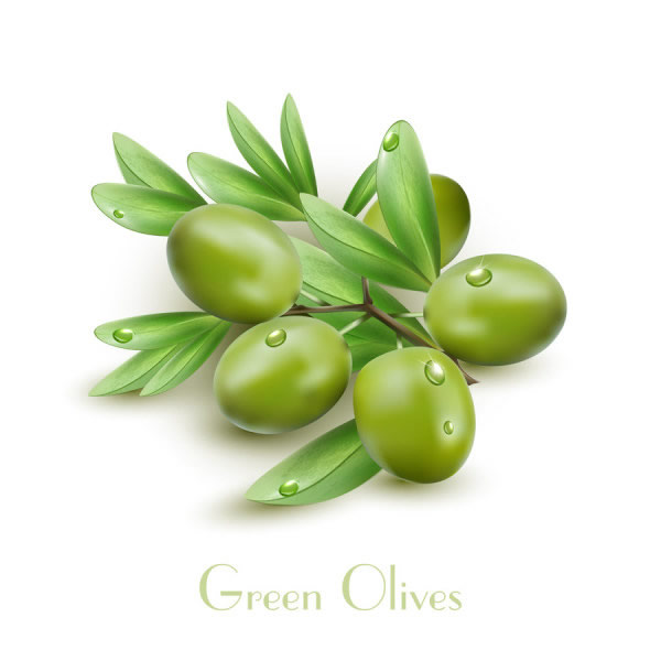 плоды оливковых листьев