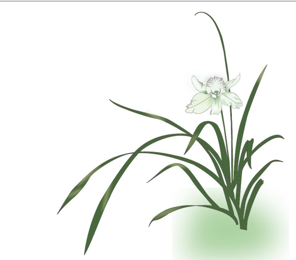Orchid Grass