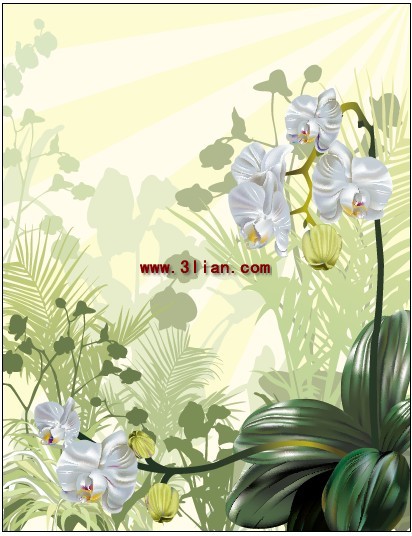 material de planta de orquídea