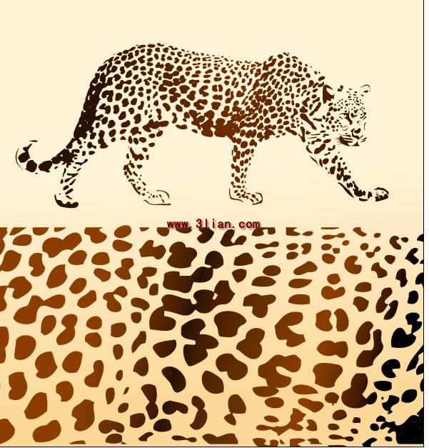 Пантера и леопард