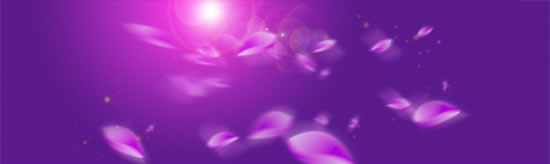modèle de pétale violet fond romantique psd
