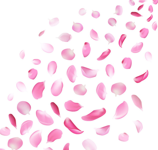 ピンクの花びらのデザイン
