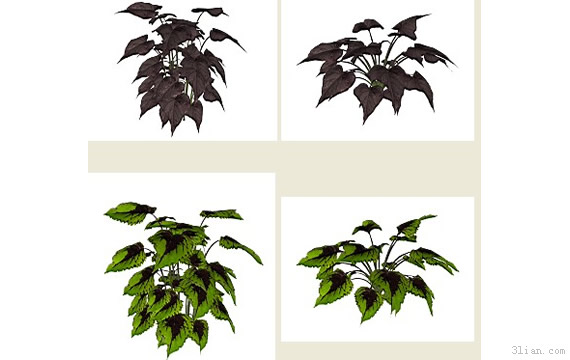 png 植物材料