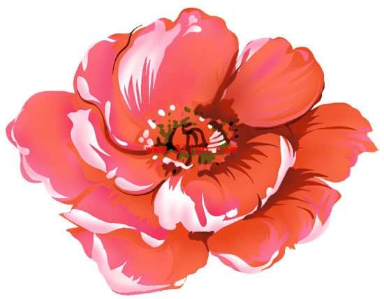 PS, malowane piwonia kwiat warstwowe psd materiału