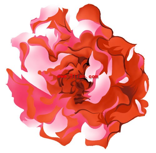 Ps Painted Peony Flower Psd Layered Material