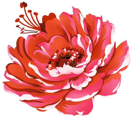 PS, malowane piwonia kwiat warstwowe psd materiału