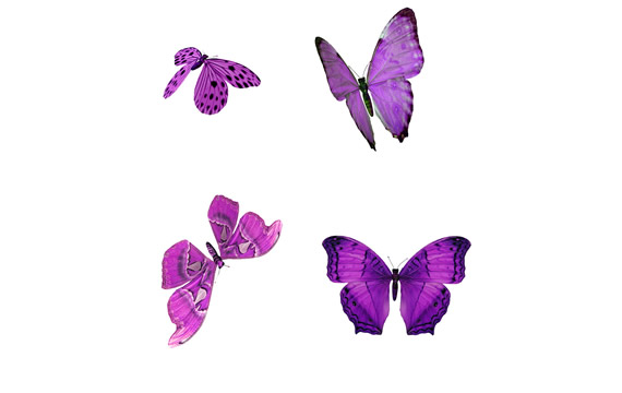 cosas png de mariposa púrpura