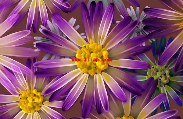 紫花 psd 層状材料