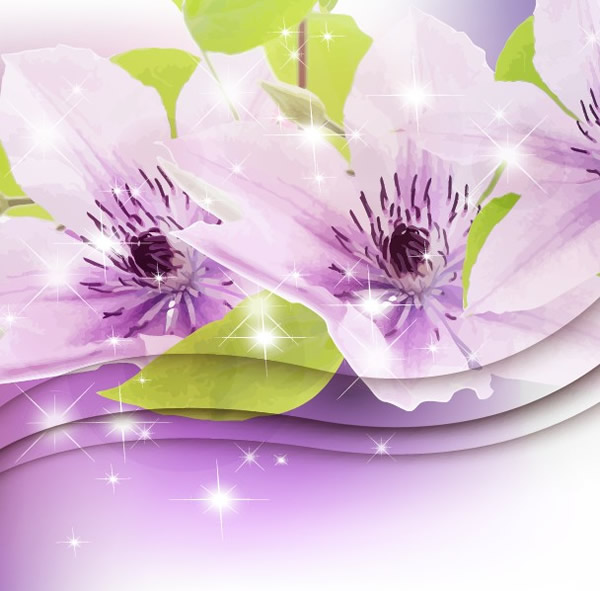 紫色兰花背景