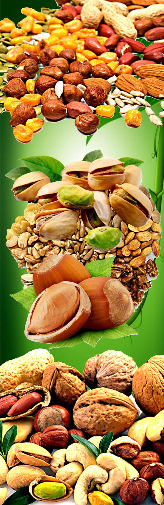 Roasted Seeds And Nuts Nuts Food Psd