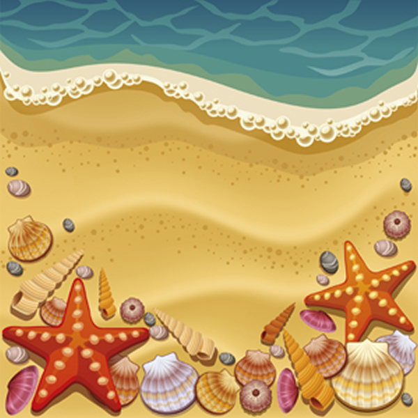 conchas de mar arena