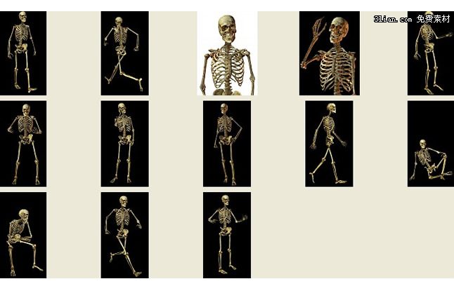 Szkielet człowieka psd materiału