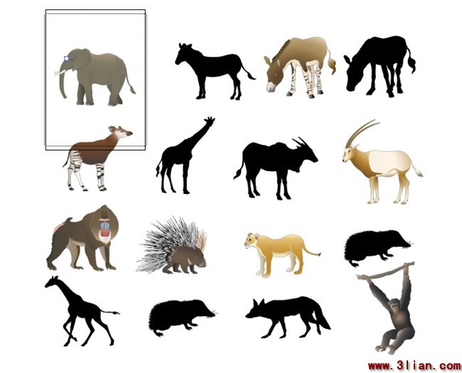 Skizze einer Vielzahl von Tierfutter