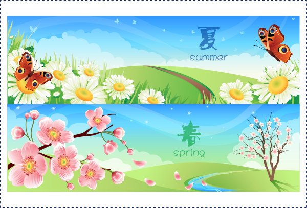 Spring Summer Flowers Backgrounds